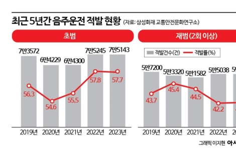 "음주운전자는 빨간 번호판?" 분노가 다시 소환한 '낙인 처벌' 논쟁