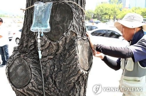 "月500만원, 정년 없는 전문직"…5060 관심 폭발한 은퇴 후 '제 2의 직업' 무엇