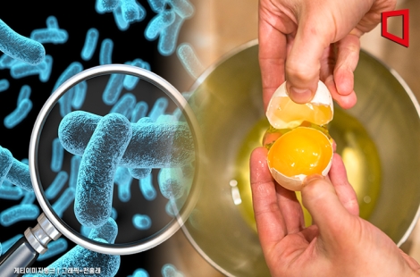 "아침마다 즐겨 먹었는데"…200명 넘게 '무더기 감염', 사망자까지 나왔다