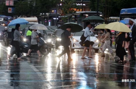 [내일날씨]일요일도 우산 챙기세요…전국 장맛비 계속