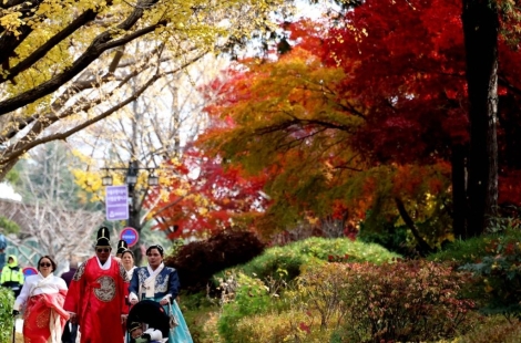 "남자가 치마 입은건 돼요"…한복이면 다 되는줄 알았다, '고궁 무료 입장' 기준 보니