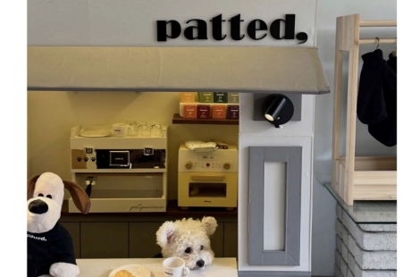 4500원 '두쫀쿠' 저렴해서 봤더니…"강아지 메뉴입니다"[펫&라이프]