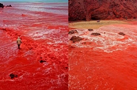 "지구 종말 신호?"…하늘에서 갑자기 쏟아진 '붉은 비' 정체