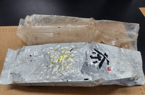 '도대체 얼마나 퍼졌나' 제주서 벌써 19번째 발견…"즉시 신고하세요"