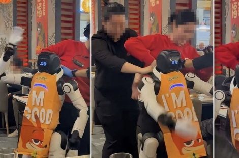 "전원 버튼 어딨어"…美 훠궈 식당서 로봇 난동에 직원들 '진땀'