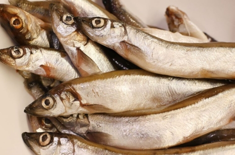 죽은 듯 얌전한 생선들…알고 보니 '무허가 마취제' 투여한 中 상인들