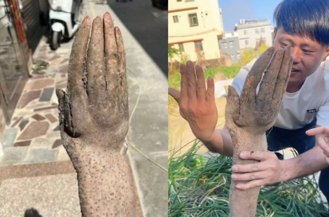"시체인 줄 알고 놀랐다"…사람 손 너무 닮아, 정체에 '깜짝'