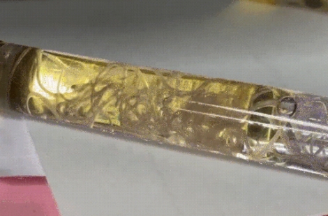 "깨지면 위험한 거 아니야?"…볼펜 안에서 기생충이 '꿈틀'