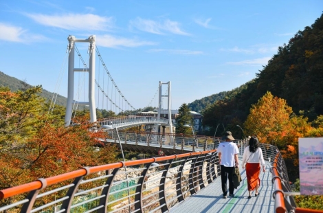 속초시, 설악향기로 개통 20개월 만에 '50만 돌파'…설악동 부활 신호탄