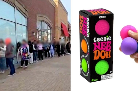 "8000원→73만원 폭등"…없어서 못 산다는 장난감 정체