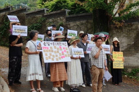 "100년 넘은 은행나무에 제초제"…부암동 환기미술관 도마에
