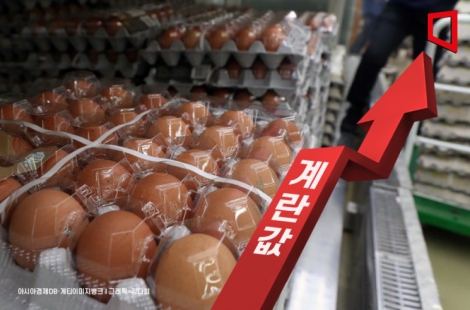 이미 비싼데요…"매일 아침 두개씩 먹는데 너무해" 이른 더위에 달걀값 공포