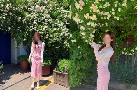 사진 찍으려면 기본 30분…수원 명물 장미 훼손 60대 "꺾꽂이하려고"