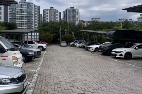 "남편차, 아빠차 다 상관없어요"…'임산부 반값' 서울시 파격 정책 보니