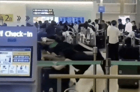 "캐리어 밀며 돌진"…인천공항서 중국인 수십명 '집단 새치기'