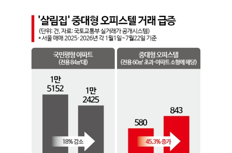 "크기 비슷한데 반값 수준" 13억 국평 아파트 대신 '이것' 산다…한달 새 7000만원 '껑충'[부동산AtoZ]