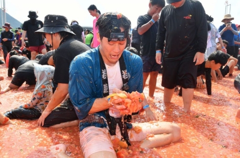 “토마토 속 풍덩, 황금반지를 찾아라”…화천 토마토축제 다시 달아올랐다