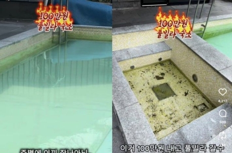 "해도 해도 너무해" 이게 1박 100만원짜리 풀빌라?…녹조 수영장 '경악'