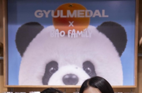 에버랜드 쌍둥이 판다 루이·후이, 제주도로 떠난다…'대한민국 구석구석' 3탄 공개