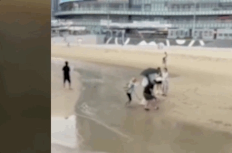 "우리 개는 안 물어요"…해운대 해수욕장 목줄 없는 대형견 영상 '논란' 