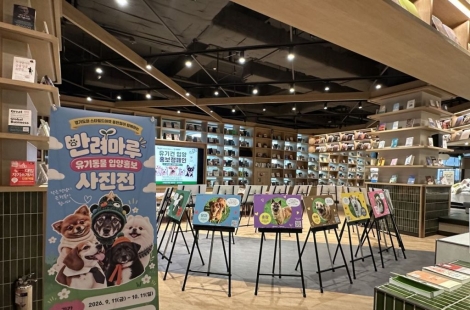 “사진 속 유기동물 가족 돼주세요”…경기도, 입양홍보 사진전