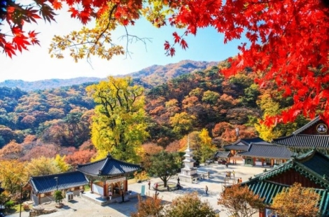 산빛 감돌고 강물 굽이치는 곳…가을, 양평에 물들다
