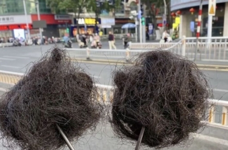 "머리카락인 줄 알았는데"…온라인에서 판매한 수상한 中 식재료 정체는