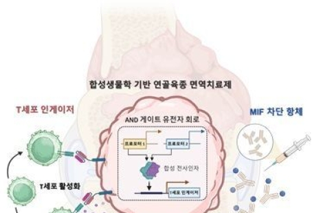 "한쪽에 주사 꽂았더니 반대편 암까지 녹아내려"…'생존율 30%' 난치암 뚫어낸 반전[과학을읽다]