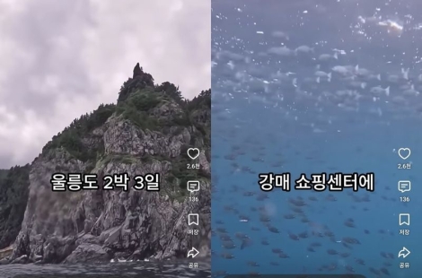 "특산물 안 사면 배 못 타" 울릉도 30명 감금 논란에…"경찰 신고조차 없었다"