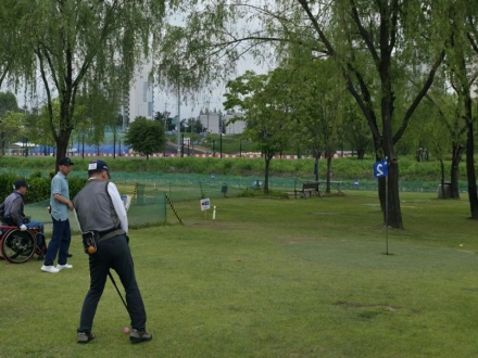 "운동 시작하면서 암도 극복"…시니어 파크골프 인기