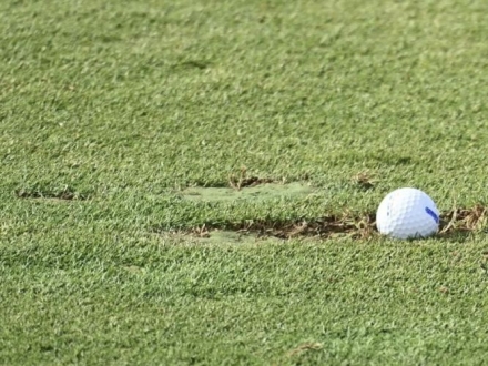 이 골프 규칙, 바꿔야 한다