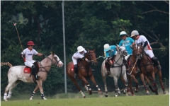 대한폴로연맹, 인도네시아와 자카르타에서 친선경기 