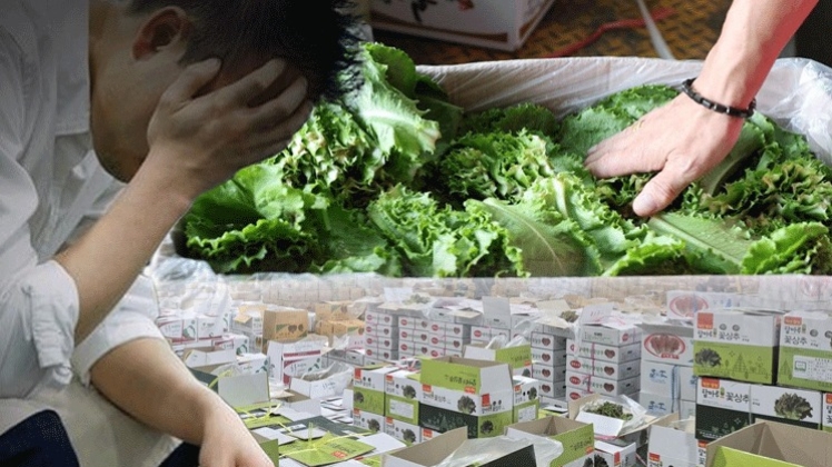 The Weather Is Not to Blame