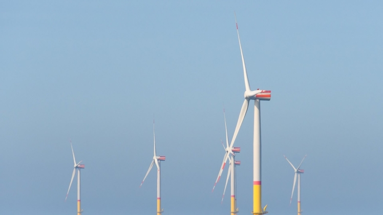 Asking About the Path to Independence in Wind Power Generation