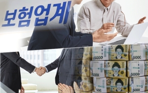 내부통제 3종세트 몰아치는데 수수료 개편은 유예…'GA개혁' 미지수