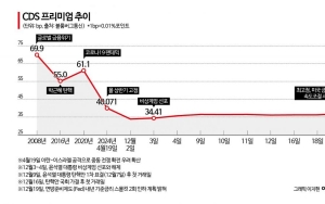 탄핵에도 차분했던 'CDS 프리미엄'…美금리 속도 조절에 최고치