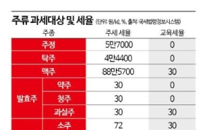 나홀로 종가세…단계적 개편 목소리④