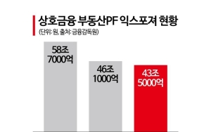  Difficult Asset Sales, Provisions Required Even for Performing Loans