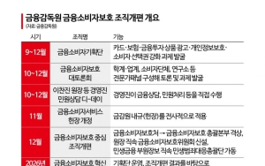 이찬진 금감원장, 금소처 격상 추진…내년 국민보고대회 예고