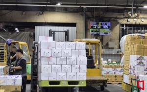 도매시장보다 쿠팡이 더 싸다?…상추 한 박스 5600원이나 차이 난 이유 ③