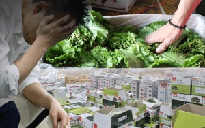 귀농하면 8000만원은 번다더니…'1만원→9만원' 널 뛰는 상추 경매가에 손에 쥔 건 月 90만원①