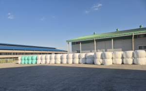 고품질 韓 조사료 키워 사료비·수입의존도↓ ②