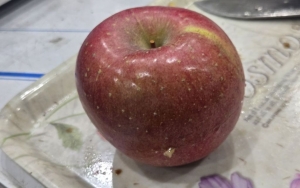 멀쩡한 사과 보더니 "이건 썩은 거예요" 장담…진짜 잘라보니 '휘둥그레' 비결은?③