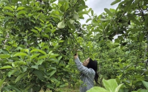 FTA That Changed Agriculture