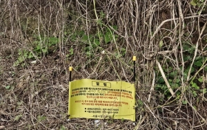 수북한 잡초에 무너진 봉분, 낡은 상석만…"고인 아시는 분 없나요?"