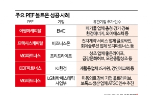  Scaling Up by Combining... M&A's Core Strategy: 
