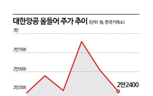 이란발 난기류에 흔들린 대한항공 