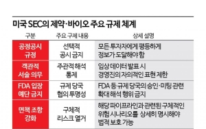 ③규제의 틈, 여전한 불씨