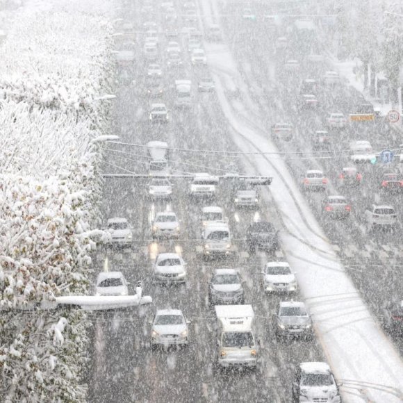 11월 '눈폭탄'에…雪雪 기었다