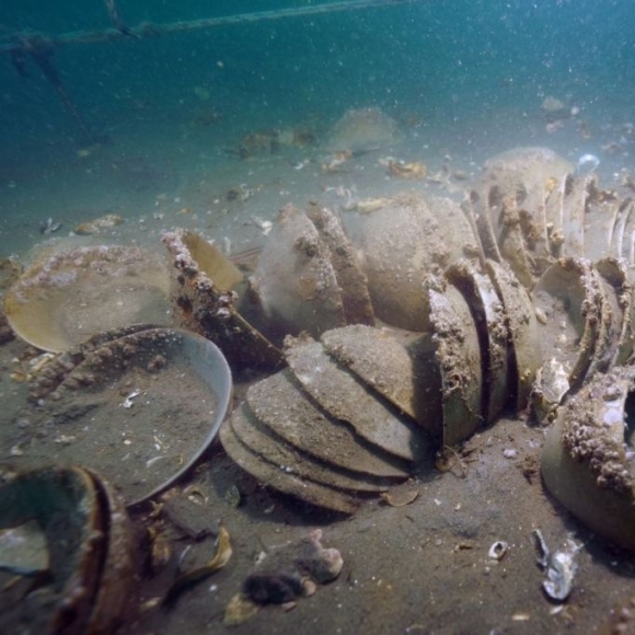 태안 앞바다에서 나온 '고려시대 타임캡슐'…800년 전 침몰한 배 흔적 찾았다